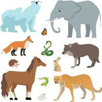 animales colección aislado en blanco antecedentes vector