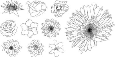 Different types of flowers in line art style for design customization isolated on white background vector