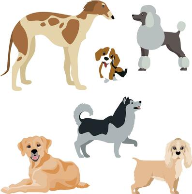 Set of dogs isolated on white background