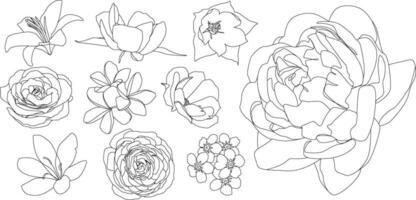 Different types of flowers in line art style for design customization isolated on white background vector