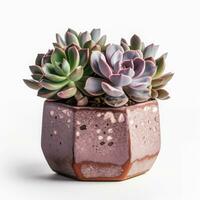 Graptoveria in a terracotta hexagonal pot with a speckled pattern in shades of purple AI Generated photo