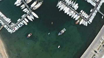 Yacht port in Porto Palo in Sicily in Italy video