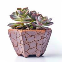 Graptoveria in a terracotta hexagonal pot with a speckled pattern in shades of purple AI Generated photo