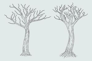 Hand drawn winter Bare Tree Sketch vector, bare Trees Leafless dead old dry No leaves pencil sketch illustration, Winter Naked Branch without leave Dead tree drawing Coloring Page nature forest icon vector