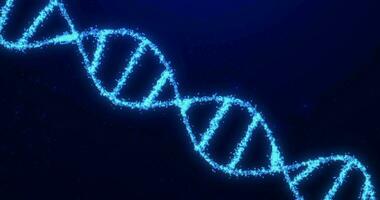 abstrakt animiert DNA Molekül von Partikel. Konzept Animation von Digital DNA, Mensch Genom.genetisch Maschinenbau, medizinisch Forschung, Biologie. nahtlos Schleife Hintergrund Animation von rotierend DNA Stränge video