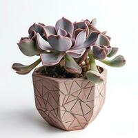 Graptoveria in a terracotta hexagonal pot with a speckled pattern in shades of purple AI Generated photo