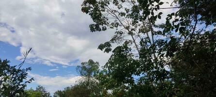 Sky And Cloud View photo