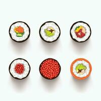 sushi set top view vector