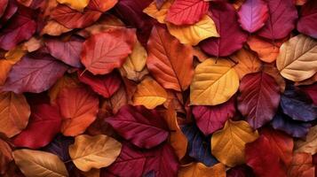 Ai, Ai generated, Vibrant red autumn leaves in close up detail texture,  fall background photo