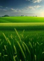 A beautiful Green wheat field, Generative AI Illustration. photo