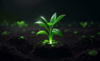 pequeño verde planta creciente en un suelo, generativo ai ilustración. foto