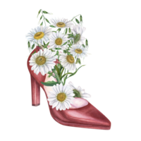 Cute bouquet of daisies and wild oats in elegant women shoes. Terracotta leather woman shoes with high heels. Vintage watercolor illustration. Party, wedding concept png