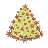 Watercolor illustration of Christmas tree figure composed of Lime slices, Star Anise, Cranberry sprigs, Gingerbread Cookie. Christmas and New year theme png