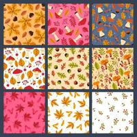 Set of seamless patterns with autumn mushrooms, leaves, berries. Vector graphics.