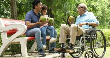 vídeo de Tres masculino Generacion de familia disfrutando Bebiendo Fresco Coco agua en parque video