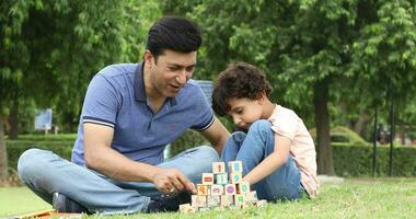 Video of little boy having fun building construction tower from blocks with father in park