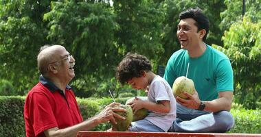 Video of a grandfather, father and a young grandson enjoying drinking coconut water in park