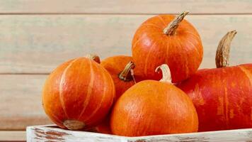 Autumn harvest. Ripe pumpkins in wooden box. Thanksgiving and halloween concept. Eco-friendly farm products. video