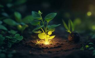 Little green plant growing on a soil, Generative AI Illustration. photo