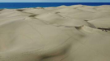 Captivating Footage of Maspalomas Dunes, Gran Canaria video