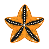 Ai generated starfish with orange and black stripes on a transparent background png