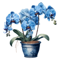 ai generado azul orquídea flores en un maceta en un blanco antecedentes png