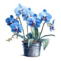 ai gerado azul orquídea flores dentro uma Panela em uma branco fundo png