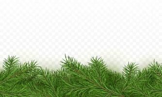 Fir tree realistic border background. Christmas tree brancher texture. Winter seasonal decorations with space for text. Vector illustration