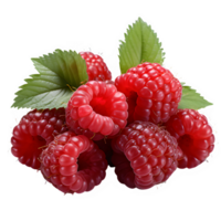 fresh red raspberry fruit cut out isolated on transparent background png ,generative ai