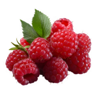 fresh red raspberry fruit cut out isolated on transparent background png ,generative ai