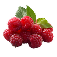 fresh red raspberry fruit cut out isolated on transparent background png ,generative ai