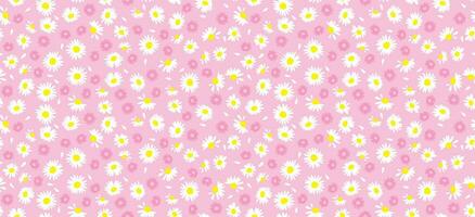 Daisy flower pattern. Beautiful White flower background. floral blossom daisy. Spring white flower design vector. Daisy's on a light pink background. Vector design for fabric, wrap paper, print card.