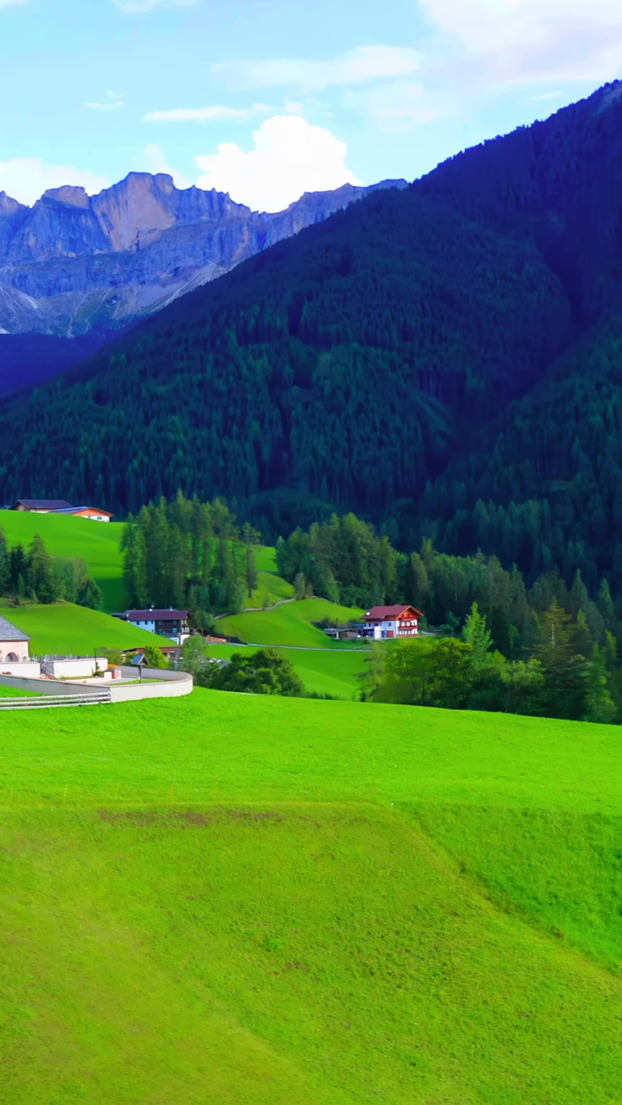 The Timeless Tranquility of Nature's Embrace 28671312 Stock Video at