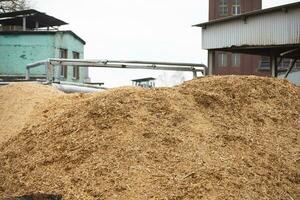 Sawdust piled up in a pile at a woodworking plant. photo