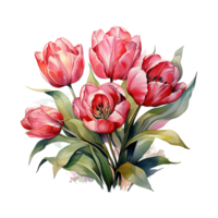 tulipe fleur, tulipe fleur aquarelle, aquarelle tulipe png, transparent arrière-plan, ai généré png