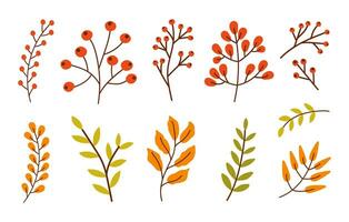 Colorful set of different branches with leaves, red berries isolated on a white background. Vector illustration