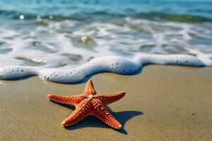 closeup photo of red star fish beside seashore