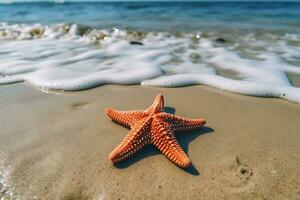 closeup photo of red star fish beside seashore