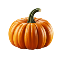 pumpa, pumpa png, pumpa transparent png, ai genererad png