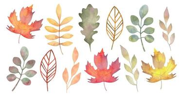 Collection of various autumn leaves.Botanical clipart for seasonal holidays.Thanksgiving,Halloween.Watercolor style.Handmade isolated art. vector
