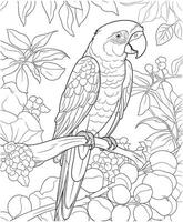 parrot fruit from the tree coloring page vector