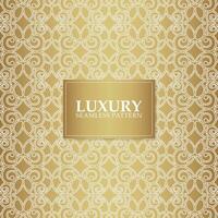 elegant gold abstract line pattern vector