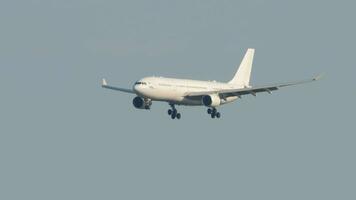 sochi, Russia agosto 02, 2022 - airbus a330 di io volo linea aerea atterraggio a sochi aeroporto. passeggeri aereo di linea mosche al di sopra di il mare per terra. turismo e viaggio concetto video