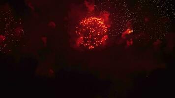 echt Feuerwerk Anzeige Feier. bunt Feuerwerk im 4k Auflösung zum Neu Jahr. tolle Feuerwerk Show video