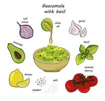 Traditional Mexican Guacamole. Recipe with filling ingredients for cooking sauce guacamole.  Avocado, cilantro, salt, pepper, green chili, lime, red onion. Vector illustration.