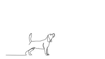 Animated self drawing of continuous line draw happy pretty little girl handshaking her dog. Friendship about human and pet animal concept. Little kid playing with dog. Full length one line animation video