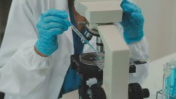 Health care researchers working in life science laboratory. Young female research scientist and senior male supervisor preparing and analyzing microscope slides in research lab. video