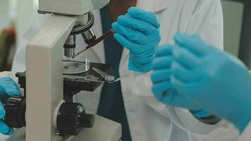 Health care researchers working in life science laboratory. Young female research scientist and senior male supervisor preparing and analyzing microscope slides in research lab. video