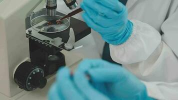 pesquisadores de saúde que trabalham no laboratório de ciências da vida. jovem cientista de pesquisa e supervisor masculino sênior preparando e analisando lâminas de microscópio no laboratório de pesquisa. video