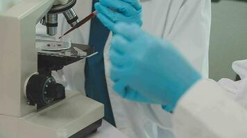 Health care researchers working in life science laboratory. Young female research scientist and senior male supervisor preparing and analyzing microscope slides in research lab. video